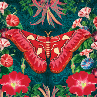 big red butterfly modeabode design
