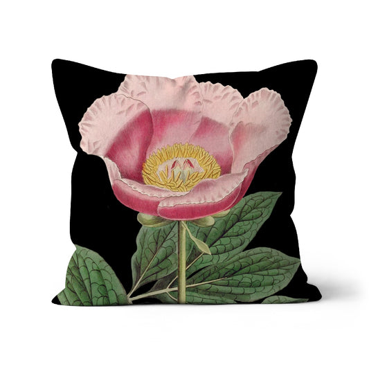Square cushion with a single pink coloured peony flower, and leaves on a black background