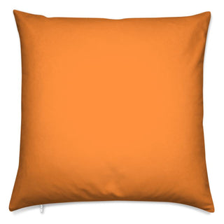 Goldfish Orange