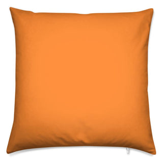 Goldfish Orange