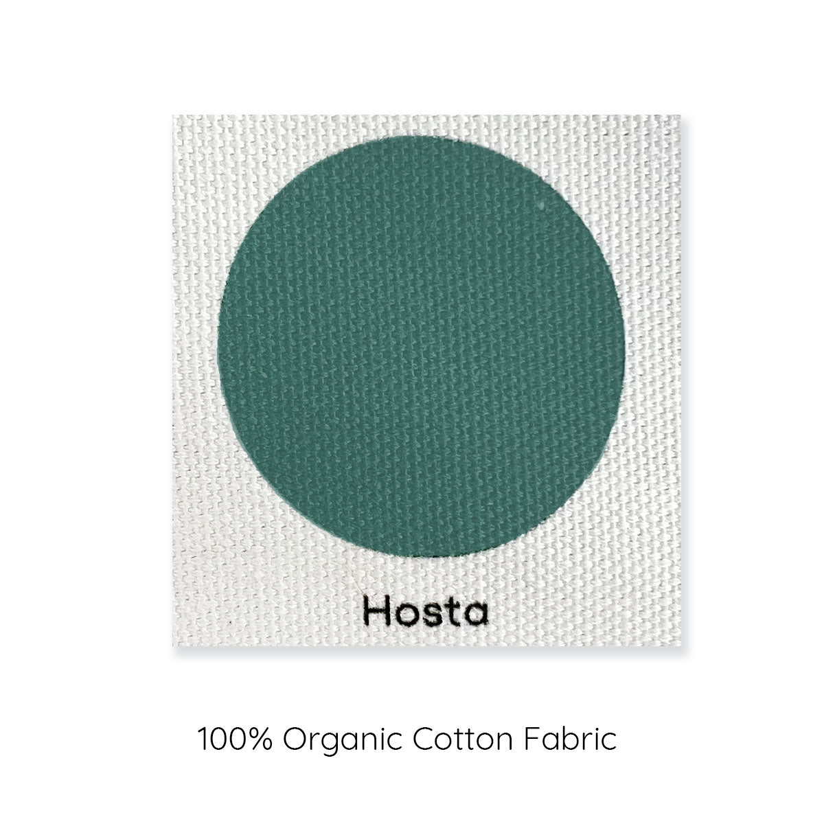 Hosta Greeen Organic Cotton Cushion Cover