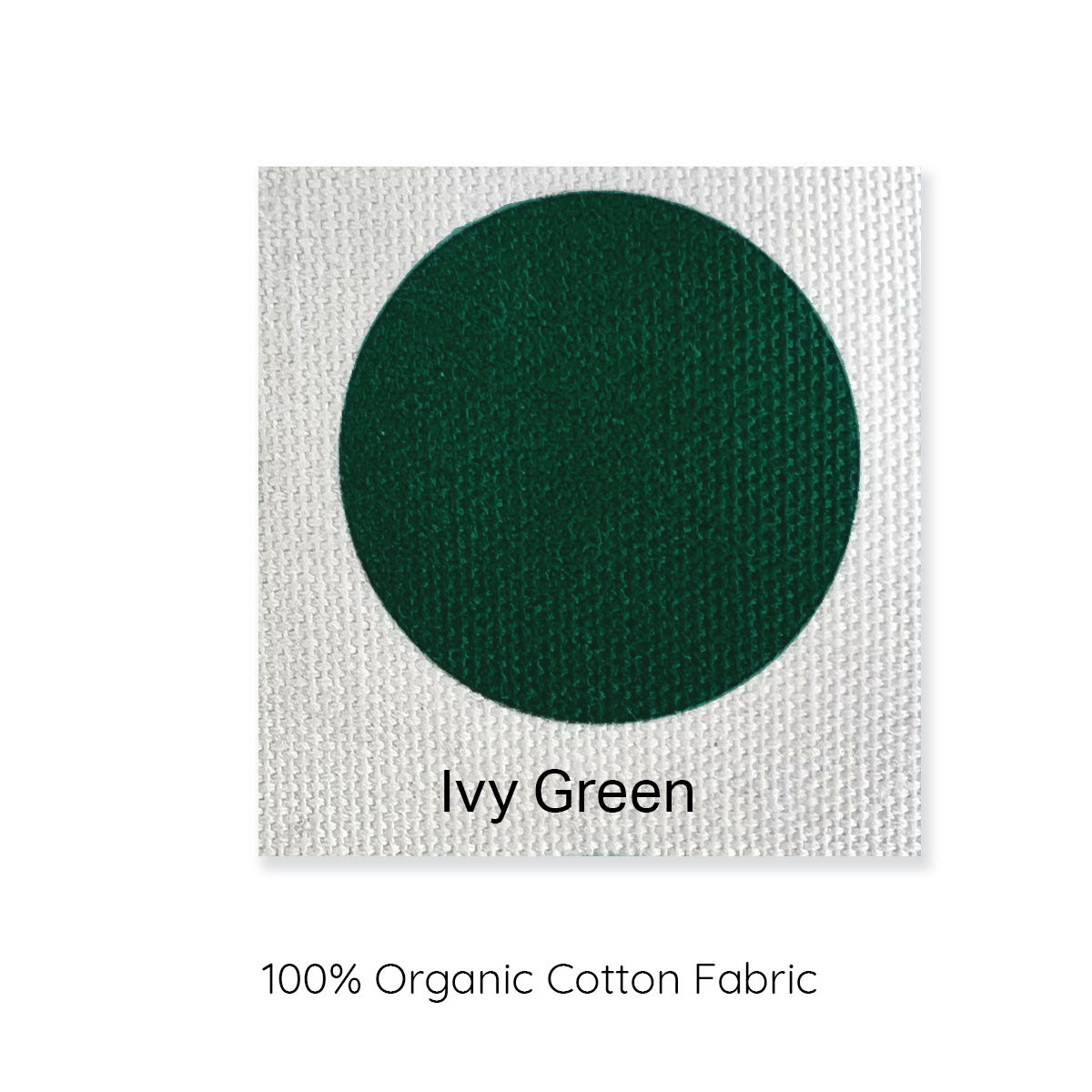 ivy green cushion cover, colour swatch.