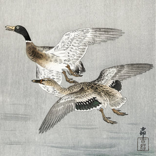 Traditional Japanese artwork of two flying ducks on a textured gray background