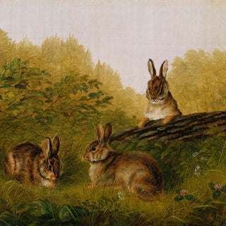Three rabbits in a natural setting with greenery and a log.