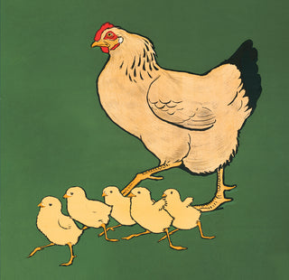 MAAC009 (Pack of 6)