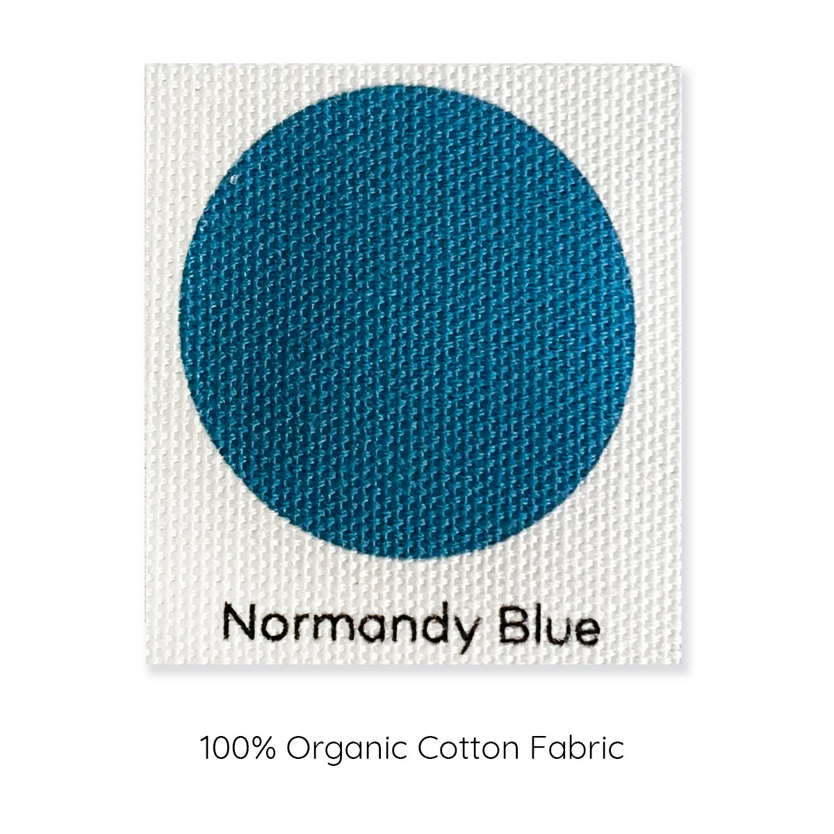 Normandy blue colour swatch cushion cover