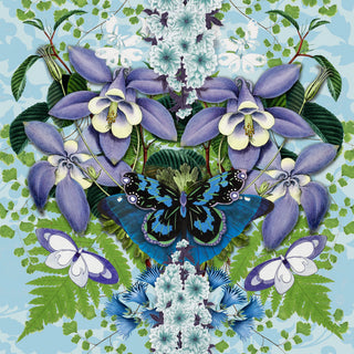 MAFAN003 (Pack of 6)