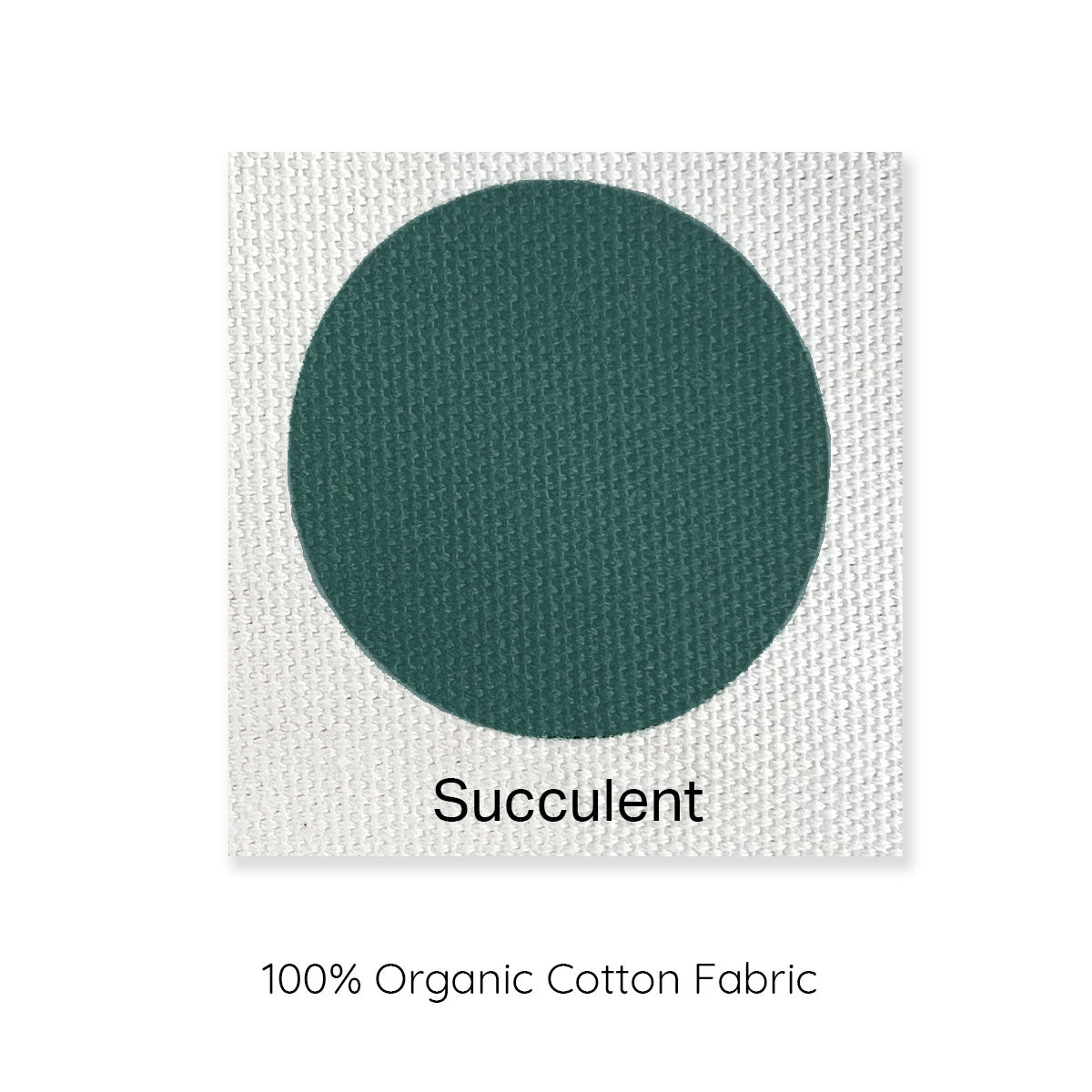 succulent 100% organic cotton sample