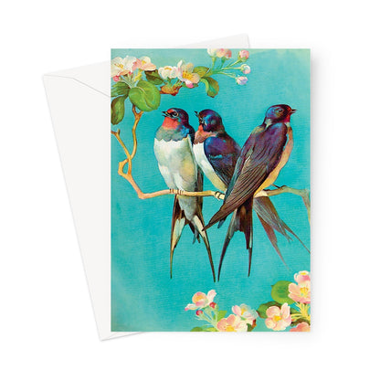 swallows greetings card