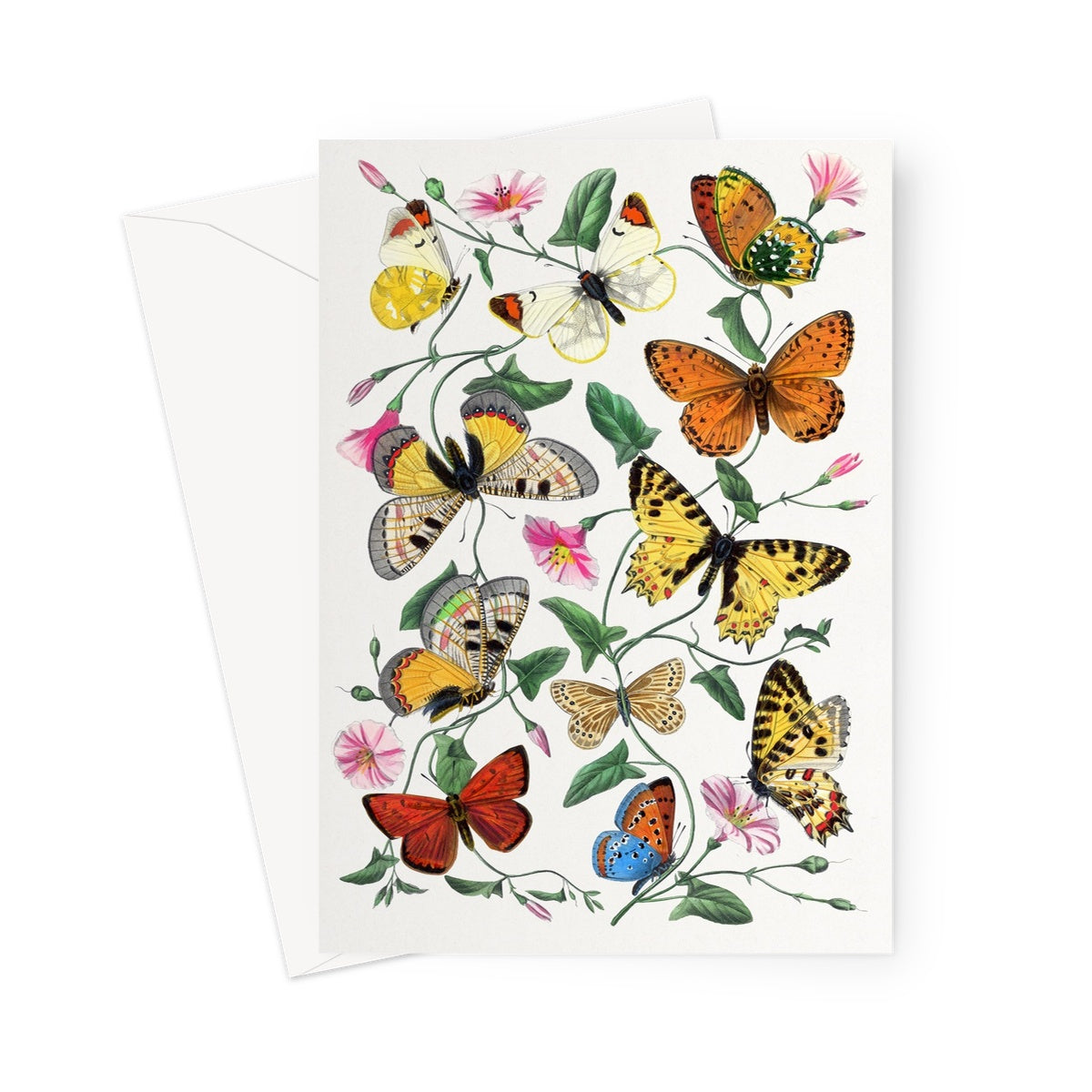 vintage butterflies greetings card