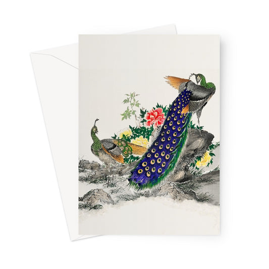 peacock greetings card Japanese illustration 