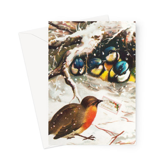 robin Christmas card
