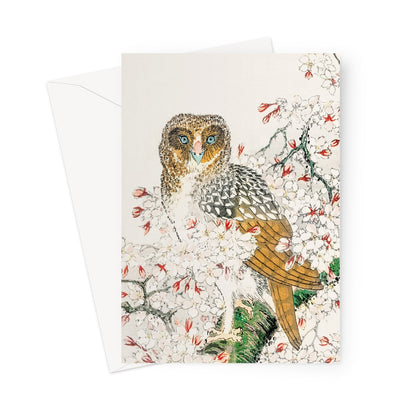 owl greetings card Japanese illustration