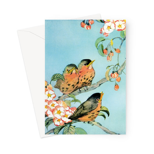 summer birds card, birds greetings card, birds card, birds birthday card.