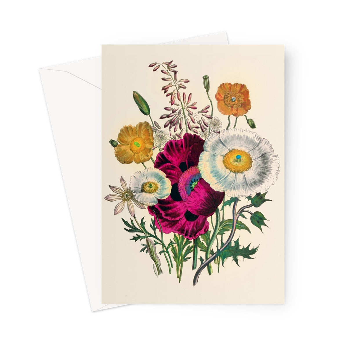Floral Anemone greetings card. vintage illustration floral card. 