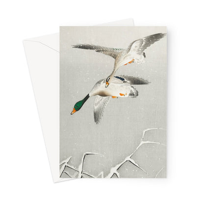 Winter ducks, snowy Christmas card 