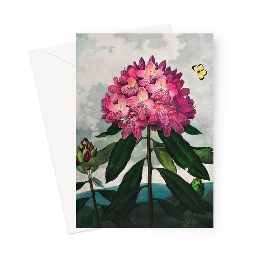 The Temple of Flora Greetings Card by Robert Thornton