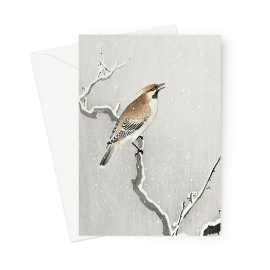Snow bird Christmas card